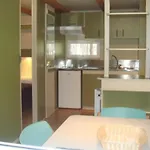 Village de vacances Bungalow-parque De Campismo Sao Miguel *