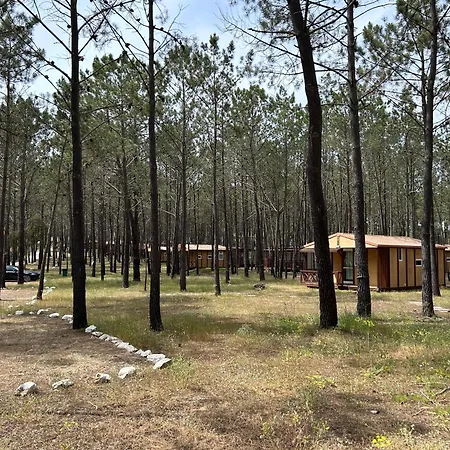 Bungalow-parque De Campismo Sao Miguel * 오데세시
