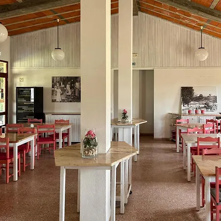 Bungalow-parque De Campismo Sao Miguel *